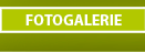 Fotogalerie