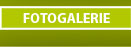 Fotogalerie