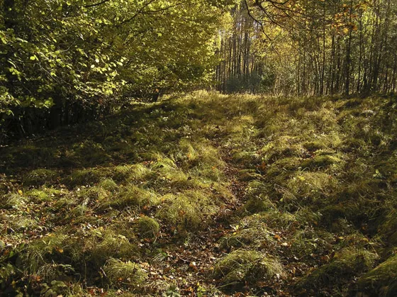 Blízké okolí – Kroha
