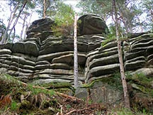 Sokolčí